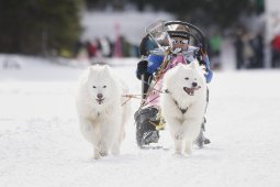 Lenzerheide 2013